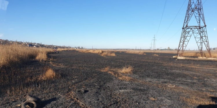 Вчерашний пожар камыша на Аляудах: пожарные считают, что был поджог