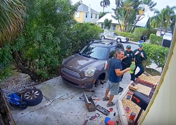 “Выпусти меня”! В США вызвали полицию, оказалось – кричал попугай Рембо (ВИДЕО)