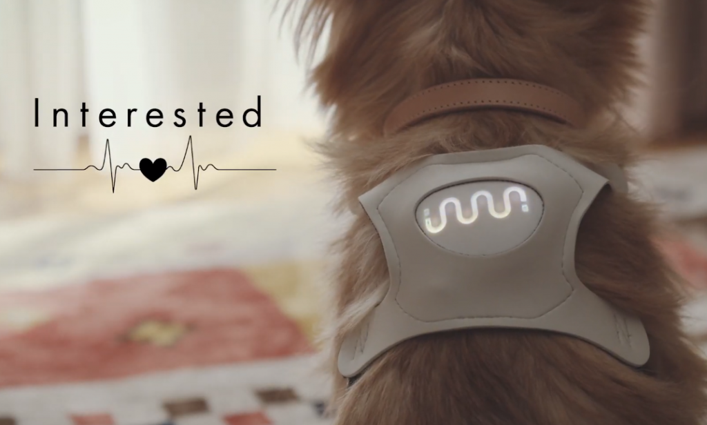 Японцы создали умную одежду для собак, которая реагирует на их настроение (ВИДЕО) 1