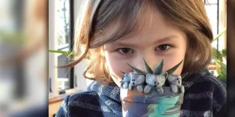 Шестилетний мальчик помог собрать $200 тысяч в помощь Австралии, изготавливая глиняных коал (ФОТО, ВИДЕО)