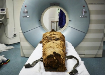 Мумия “заговорила”. Голос египтянина был услышан спустя 3 тысячи лет со дня его смерти (ФОТО, АУДИО)