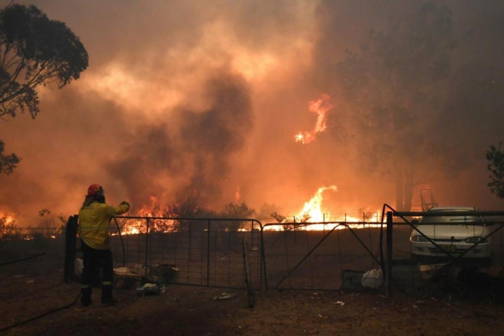 Огненный апокалипсис Австралии: погибли 24 человека и 500 млн. животных (ФОТО) 7
