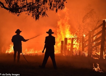 180 человек арестовали за умышленные поджоги лесов в Австралии
