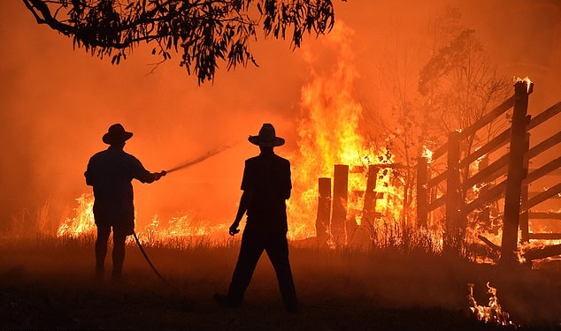 180 человек арестовали за умышленные поджоги лесов в Австралии