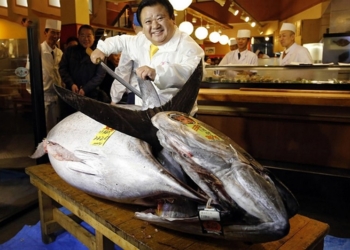 В Токио продали голубого тунца за 1,8 млн долларов