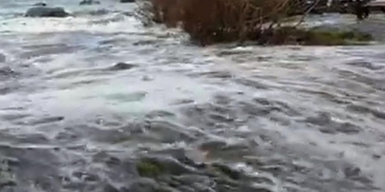 Гнев моря. В Калифорнии внезапная волна “смыла” туристов (ВИДЕО)