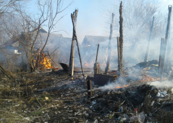 На Николаевщине неаккуратно сжигали мусор и едва не сожгли дом (ФОТО)