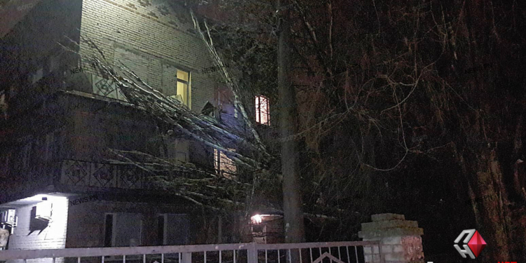 В Николаеве из-за шквального ветра дерево упало на корпус областной детской больницы, а в Очакове рухнула водонапорная башня (ФОТО)