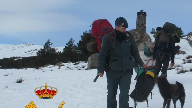 В горах Испании эвакуировали мужчину с двумя собаками, который из-за снега три месяца был отрезан от цивилизации (ФОТО) 3