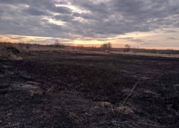 Подожгли. Во Врадиевском районе сгорело 2 га плавней (ФОТО)
