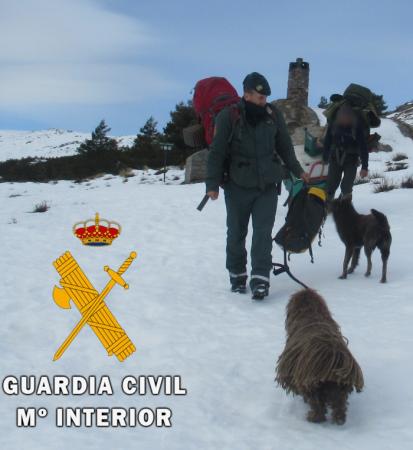 В горах Испании эвакуировали мужчину с двумя собаками, который из-за снега три месяца был отрезан от цивилизации (ФОТО) 1