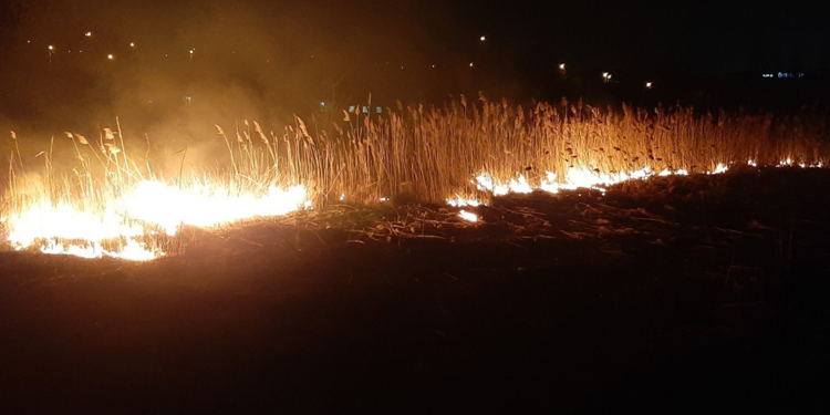 За сутки на Николаевщине сгорели 4 га сухой травы и 2,5 тыс.кв.м камыша (ФОТО)