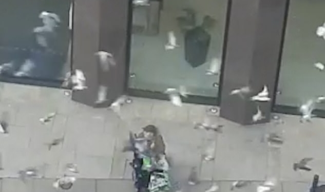 «Голубиный бог»: лондонец легко управляется со стаей диких голубей (ВИДЕО)