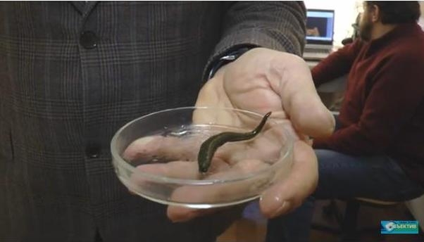 Харьковские ученые открыли новые виды животных – обещают назвать патриотично (ВИДЕО)