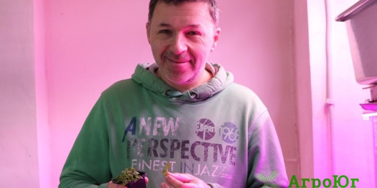 Как Руслан Гримов из Николаева стал пионером в выращивании микрогрина (ФОТО)