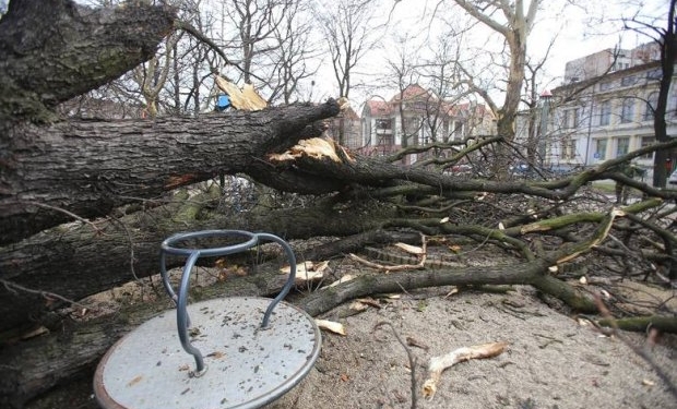 Ураган добрался до Польши: повреждены дома, отменены авиарейсы (ФОТО)