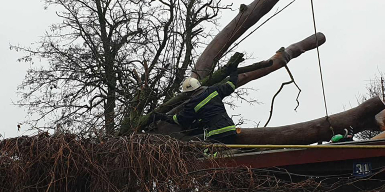 Спасатели Николаевщины рассказали об упавших деревьях и предупредили, что погода на этом не успокоится (ФОТО, ВИДЕО)