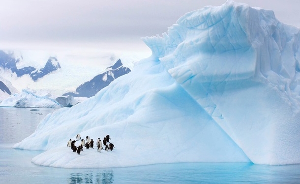 В Антарктике зафиксировали рекордно высокую температуру