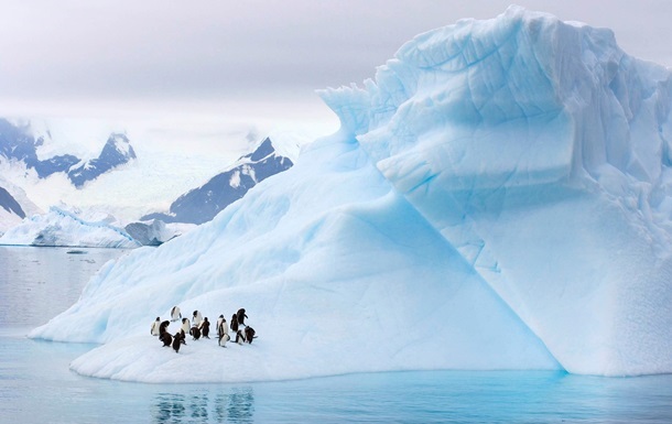 В Антарктике зафиксировали рекордно высокую температуру 1