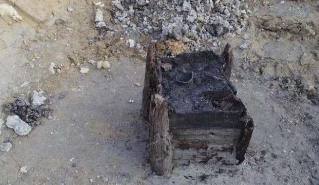 Ученые нашли древнейшую известную деревянную конструкцию