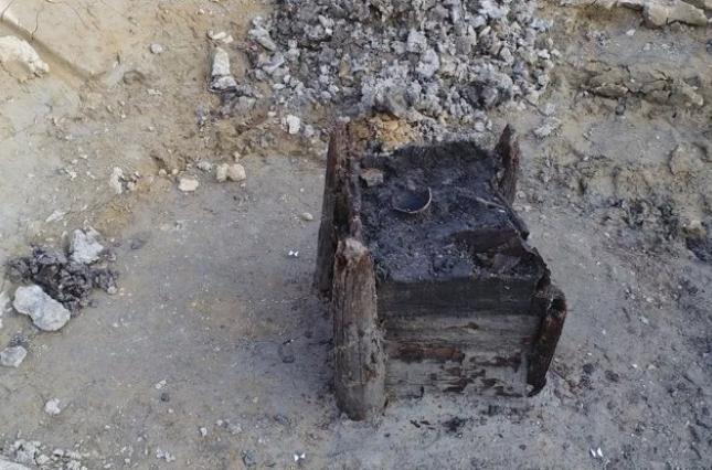 Ученые нашли древнейшую известную деревянную конструкцию 1