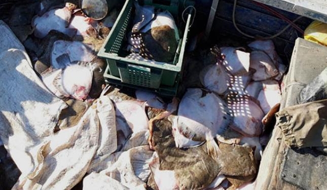 ФСБ опубликовала видео допроса капитана задержанного украинского рыбацкого корабля (ВИДЕО)