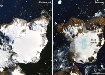 Спутник NASA показал быстрое таяние ледяной шапки в Антарктиде