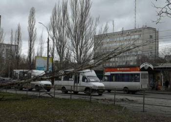 После урагана на Николаевщине без энергоснабжения остались полторы сотни населенных пунктов (ФОТО)