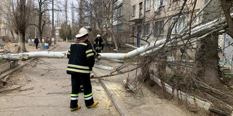 После урагана на Николаевщине без энергоснабжения остаются 119 населенных пунктов (ФОТО)