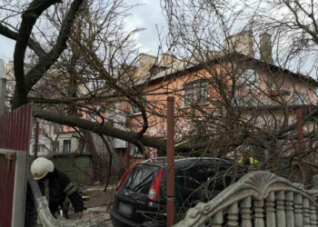 После урагана на Николаевщине без энергоснабжения остались полторы сотни населенных пунктов (ФОТО)
