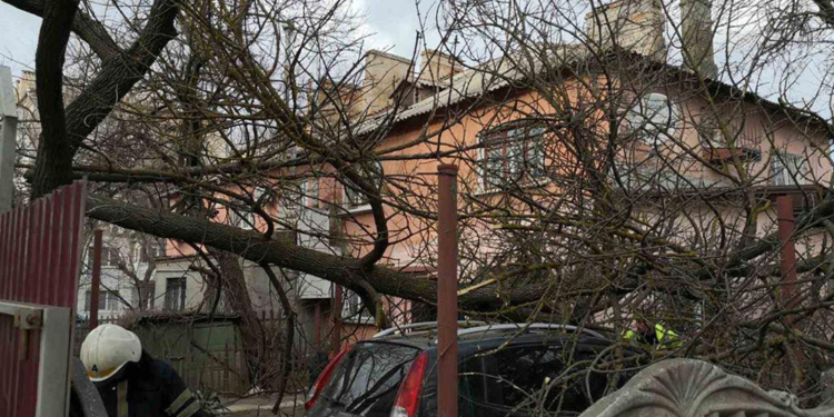 После урагана на Николаевщине без энергоснабжения остались полторы сотни населенных пунктов (ФОТО)