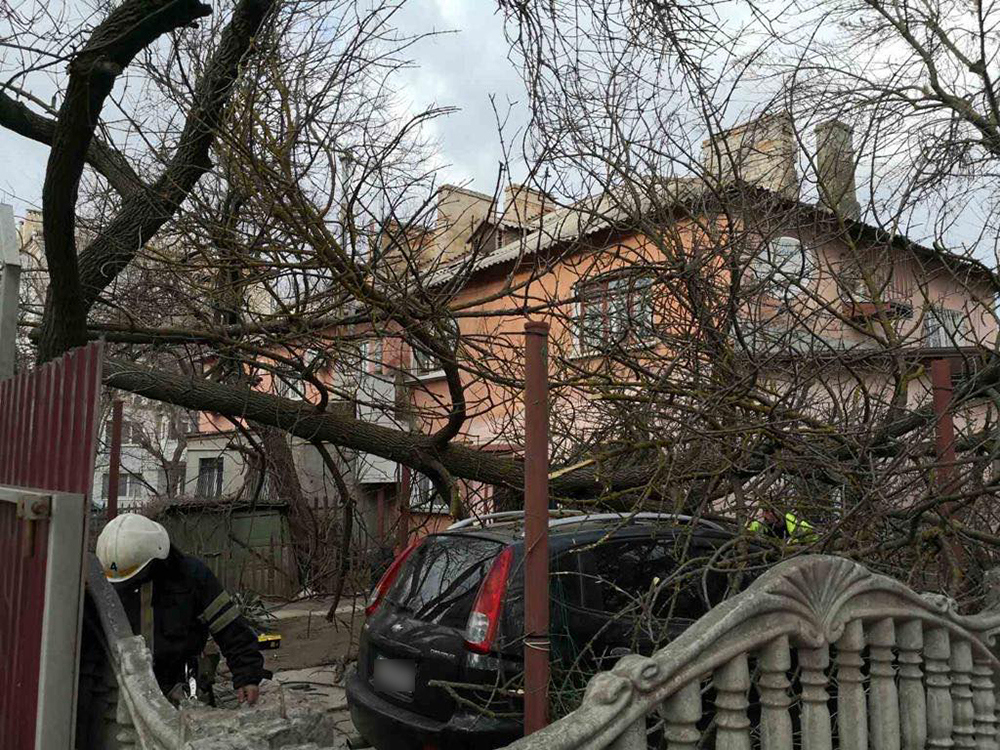 Штормовой циклон "Юлия": сильней всего ветер буйствовал на Николаевщине 1