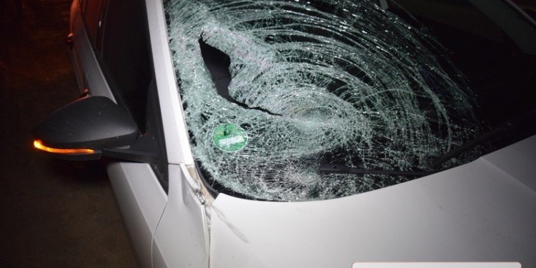 Под Николаевом «Шкода» сбила неожиданно выбежавшую на дорогу женщину – ее состояние критическое (ФОТО, ВИДЕО)