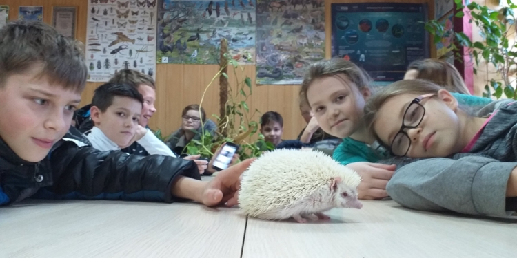 Неужели ждать холодов? Белоснежка из Николаевского зоопарка предсказала долгую зиму (ФОТО)