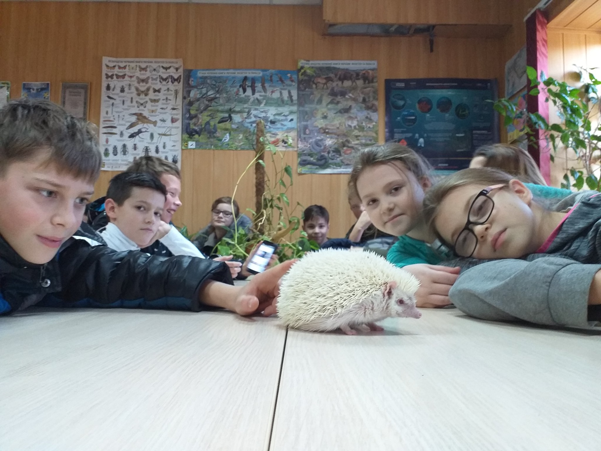 Неужели ждать холодов? Белоснежка из Николаевского зоопарка предсказала долгую зиму (ФОТО)