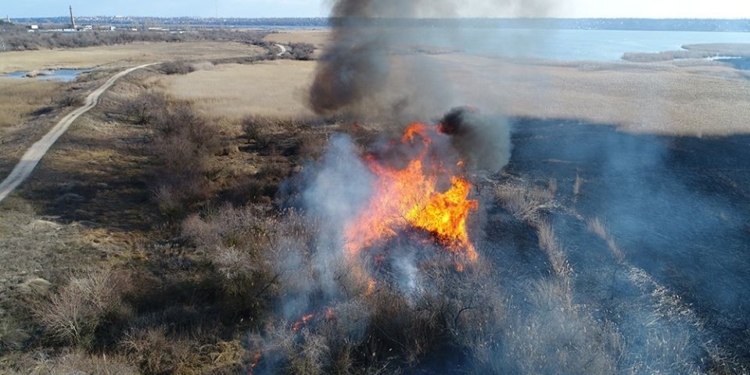 В Новоодесском районе браконьеры опять жгут камыш (ФОТО)