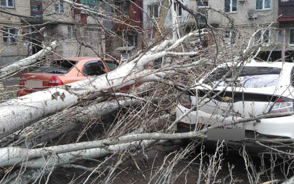Ураганный ветер на Николаевщине: машины под деревьями, летающие крыши (ФОТО)