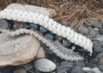 В Израиле создали необычную робогусеницу (ВИДЕО, ФОТО)