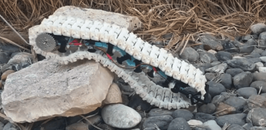 В Израиле создали необычную робогусеницу (ВИДЕО, ФОТО)