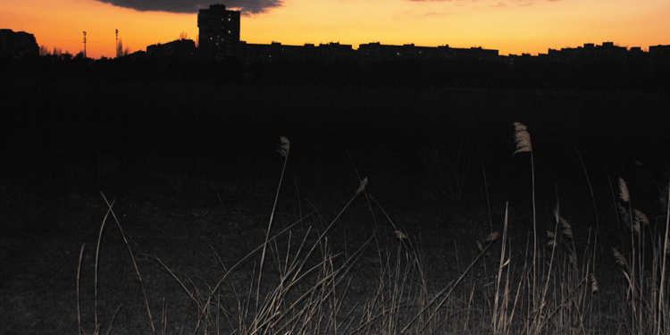 В Николаеве горел камыш на площади 2500 м²