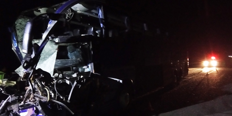 В Николаевской области столкнулись рейсовый автобус и грузовик – 17 пострадавших (ФОТО)