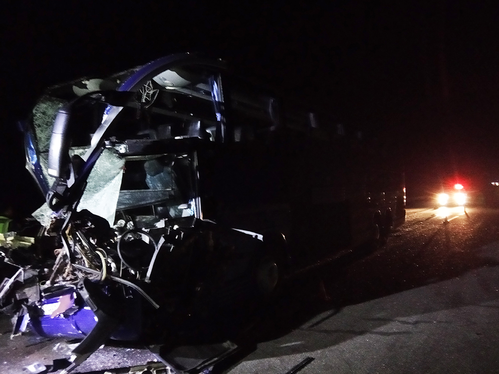 В Николаевской области столкнулись рейсовый автобус и грузовик - 17 пострадавших (ФОТО) 5