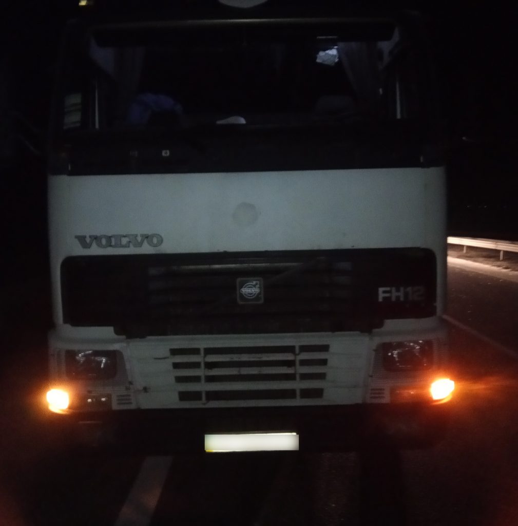 В Николаевской области столкнулись рейсовый автобус и грузовик - 17 пострадавших (ФОТО) 1