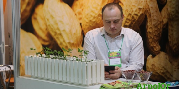 Фермерам юга Украины рекомендуют выращивать арахис – уже пора (ФОТО)