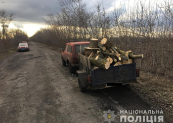 На Николаевщине полиция задержала местного жителя с машиной нелегальных дров
