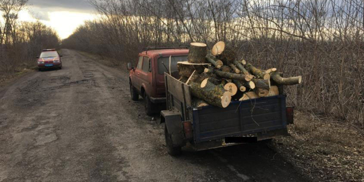 На Николаевщине полиция задержала местного жителя с машиной нелегальных дров