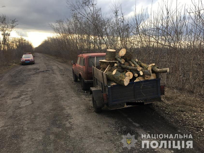 На Николаевщине полиция задержала местного жителя с машиной нелегальных дров 1