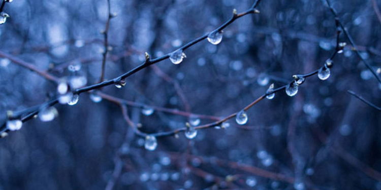 На Николаевщину надвигается циклон – на сегодняшнюю ночь прогнозируют снег с дождем и сильный ветер