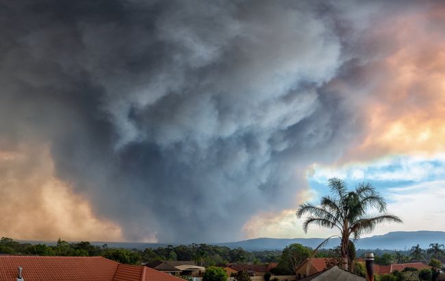 Пожары Австралии тушат рекордные ливни 1
