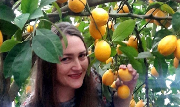 Семья в Запорожье выращивает в теплицах лимоновый сад: на продажу и для фотосессий (ФОТО) 7
